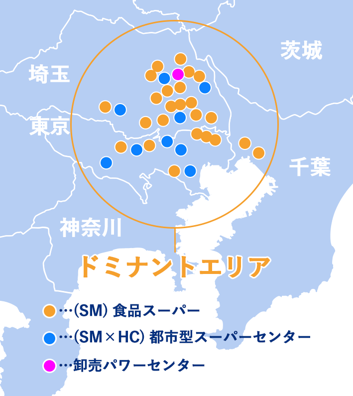 ドミナントエリア